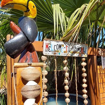Bed and Breakfast L'Oazis Malissard Esterno foto