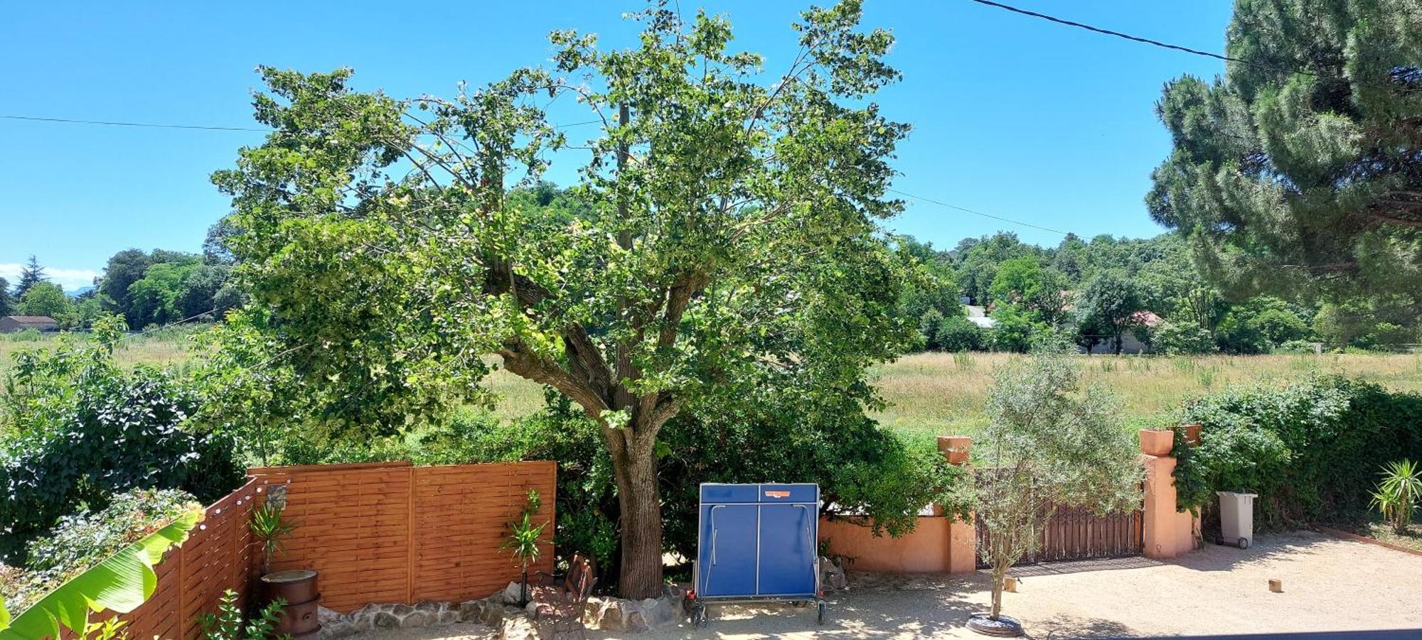 Bed and Breakfast L'Oazis Malissard Esterno foto